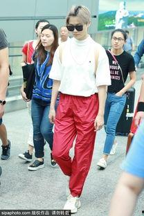 鲨鱼裤明星网红图片高清,网红明星演绎时尚新风尚
