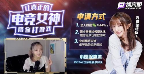 明星网红打游戏视频大全,明星网红游戏视频盛宴大盘点