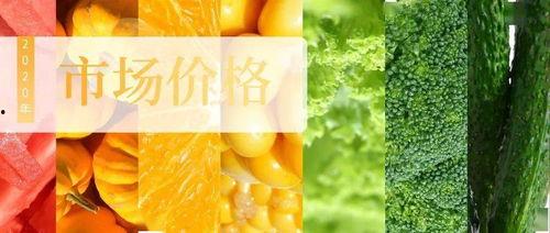 新发地吊瓜今日价格表图片,今日行情一览
