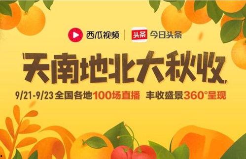 今日摘瓜小分队文案图片,瓜果飘香，欢乐满园