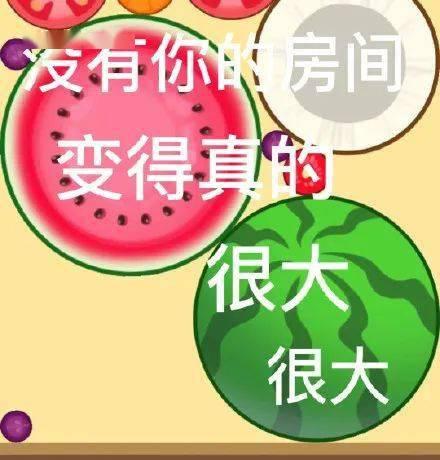 今日摘瓜小分队文案图片,瓜果飘香，欢乐满园