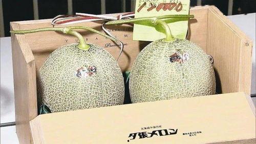 内蒙古蜜瓜价格今日行情,品质佳、价格稳，消费者抢购热潮持续