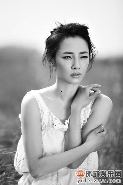 明星网红用的什么网站,他们都在用的热门网站大盘点