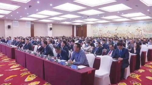 瓜州杨栋 今日头条,今日头条聚焦乡村振兴新篇章
