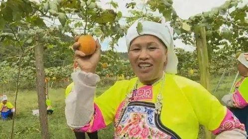 吊瓜今日价格表最新,最新市场行情一览