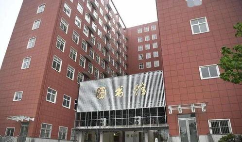 河南吊瓜今日行情价格,价格波动与市场动态一览