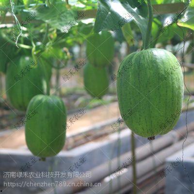 Apple今日吃瓜,揭秘背后的热点事件与幕后故事
