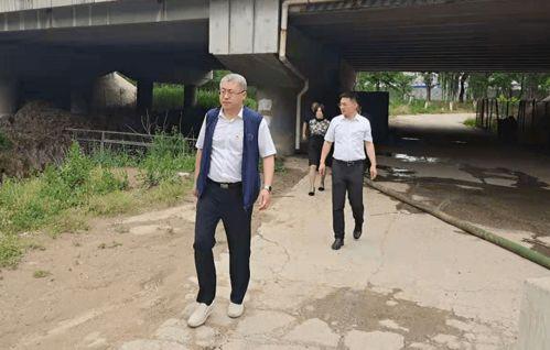 保护明星网红文案怎么写,揭秘明星网红保护策略