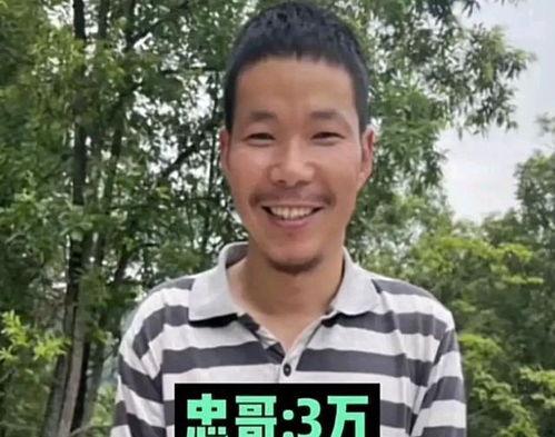 给甘肃捐款的明星网红,明星网红助力脱贫攻坚