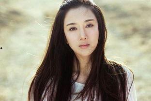 沈阳的明星网红是谁,揭秘东北魅力代表