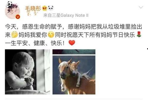感谢明星网红朋友的句子,友谊之光闪耀心间