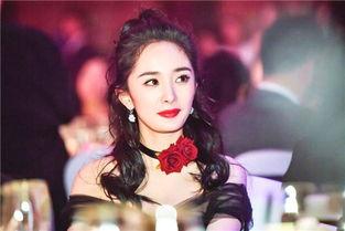 黑的明星网红有谁啊,那些被黑的明星网红大盘点