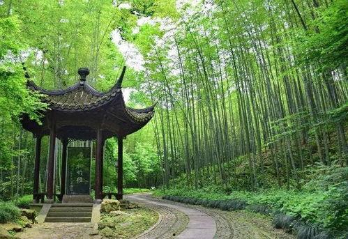 杭州云栖竹径明星网红,杭州网红打卡地，明星同款美景揭秘”