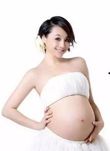 小明星网红大肚杯图片,小明星的时尚生活新宠