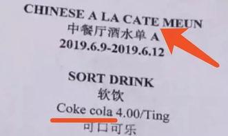 明星网红英语翻译中文,闪耀全球的璀璨星光