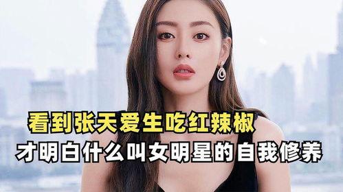 明星网红素养分享会,解码新时代网络影响力