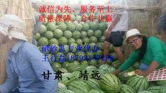 石头瓜今日行情价格,价格波动解析与市场趋势洞察”