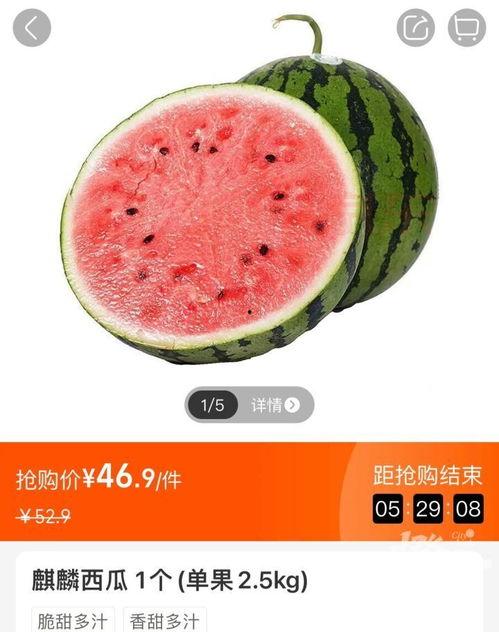 小吊瓜今日报价价格查询,市场行情一览”