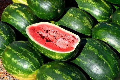 今日吃瓜下载,揭秘娱乐圈最新热点事件