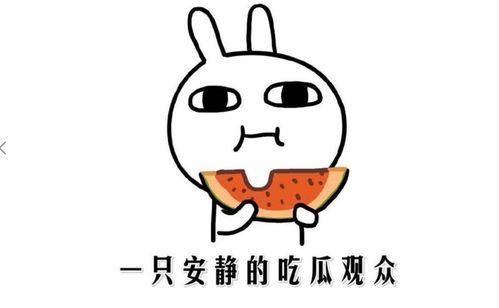 吃瓜网今日吃瓜热门在线观看,吃瓜网揭秘热门事件，在线观看精彩纷呈