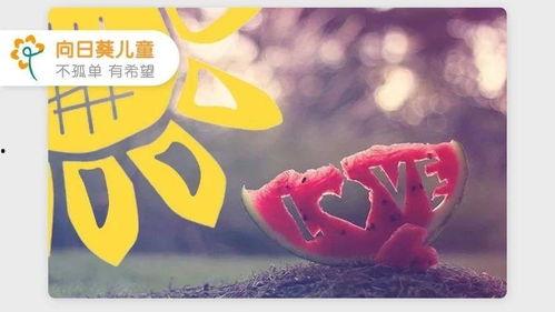 吃瓜网今日吃瓜热门在线观看,吃瓜网揭秘热门事件，在线观看精彩纷呈