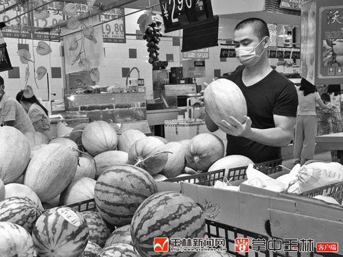 黑美人瓜价格今日市场行情,价格波动与供需分析