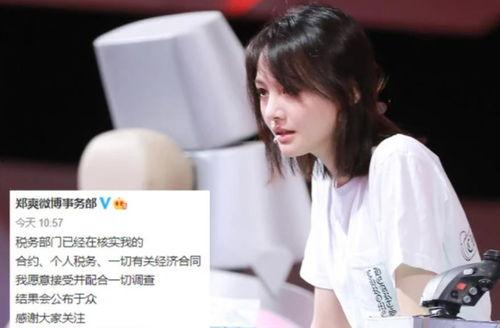 明星网红为什么捐款了,明星网红捐款背后的故事与启示