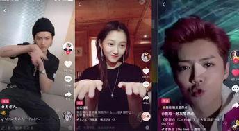 明星网红干起来了视频,明星网红大战视频引发网络热议