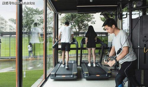 小吊瓜今日行情走势最新,今日走势解析