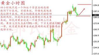 合瓜今日价格行情走势,今日行情走势解析