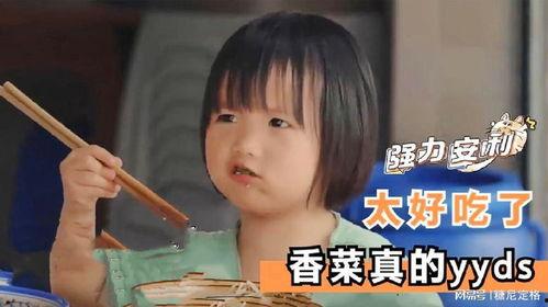 爱吃香菜的明星网红,舌尖上的独特魅力