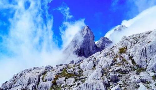 明星网红相聚在贡嘎雪山,明星网红共赴雪域盛宴