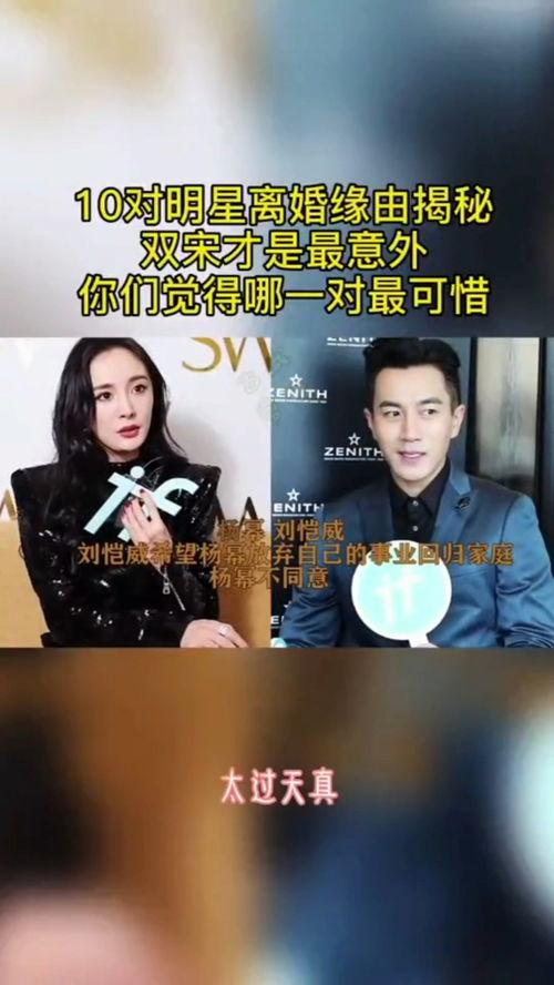 离婚后的明星网红小说,离婚后的明星网红逆袭之路