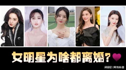 离婚后的明星网红小说,离婚后的明星网红逆袭之路