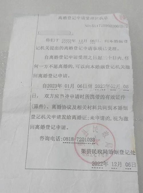 电视剧离婚协议,情感纠葛与家庭抉择的漩涡