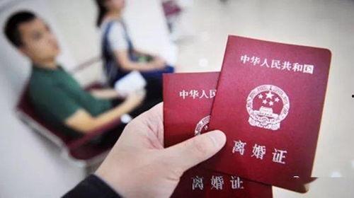 电视剧离婚协议,情感纠葛与家庭抉择的漩涡