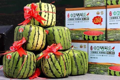 今日硒砂瓜最新消息,最新消息揭示甜蜜背后的科技力量