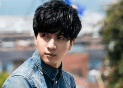 综艺明星网红镜头少吗,揭秘镜头背后的真相