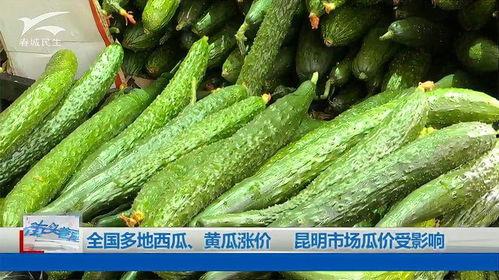 昆明市今日小瓜价格多少,市场行情一览”