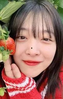 明星网红家里摆件有哪些,家中摆件大赏