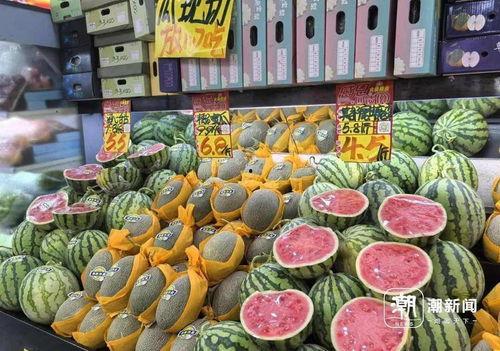 今日麒麟瓜产地价格是多少,行情波动，市场动态一览