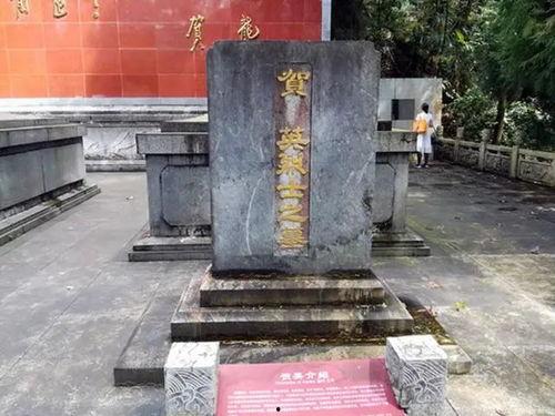 明星网红小姐姐改造房间,打造梦幻卧室新天地