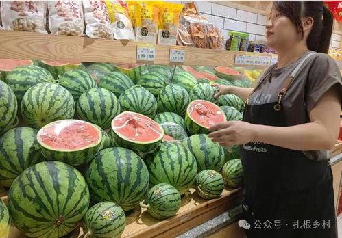 今日瓜价格最新报价,今日瓜价最新报价揭秘！”