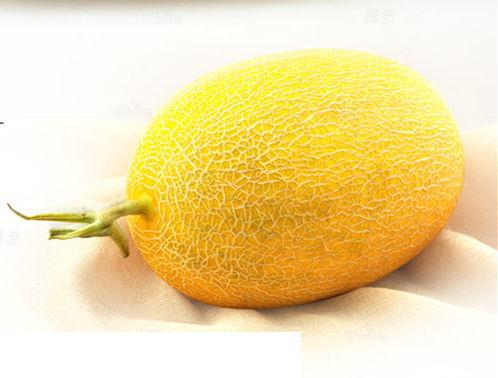 江西哈密瓜价格今日价,品质佳品，实惠之选