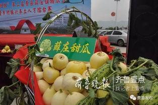 费县脆瓜今日价格,价格行情一览”