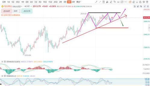 酥瓜今日价位走势分析图,今日走势深度剖析