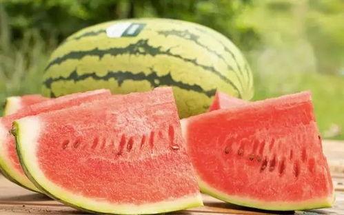 云南今日生瓜价格,市场波动下的新鲜行情