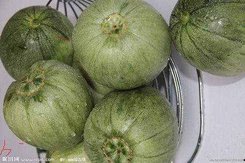 云南今日生瓜价格,市场波动下的新鲜行情