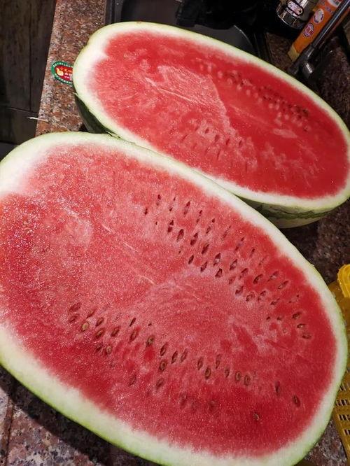 云南今日生瓜价格,市场波动下的新鲜行情