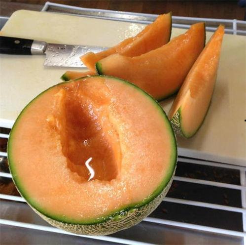 羊角蜜瓜今日试吃视频